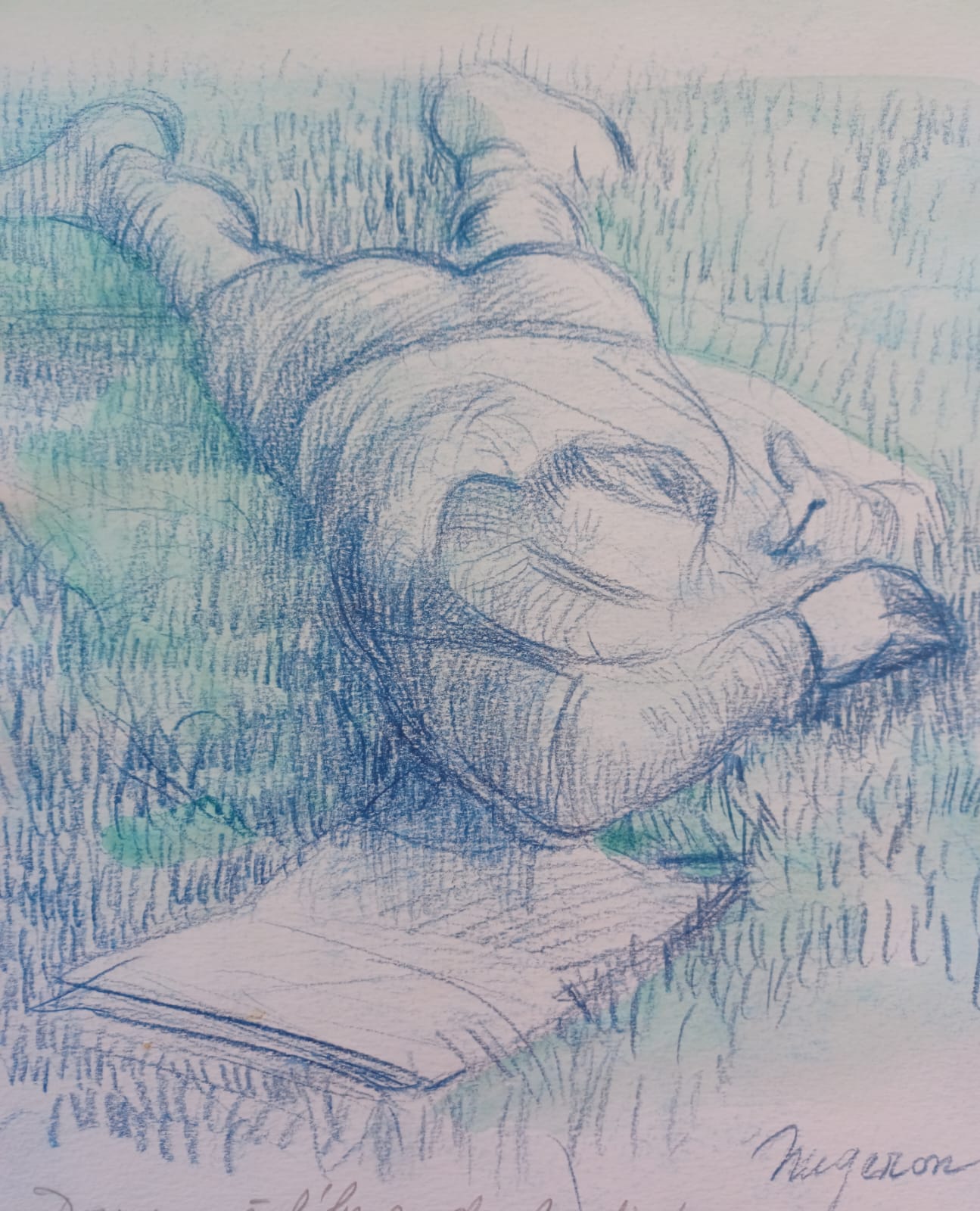 Le dormeur du val – Format : 21 x 29,7