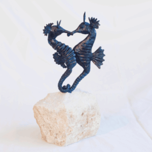 Les hippocampes amoureux