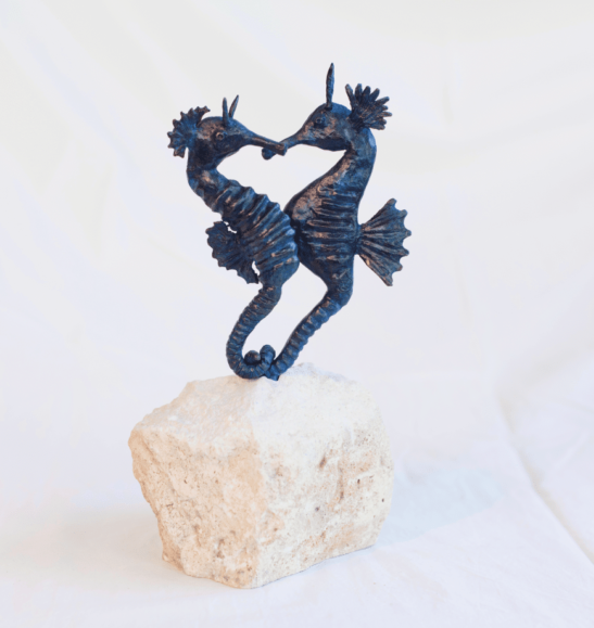Les hippocampes amoureux